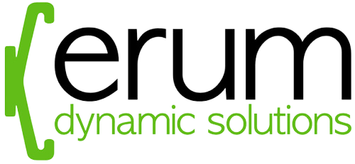 ERUM-removebg-preview